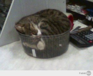 91014bbb1c73225706410cb837b9b2a0.jpg (2071 просмотр) <a class='original' href='./download/file.php?id=25121&mode=view' target=_blank>Загрузить оригинал (19.64 КБ)</a>