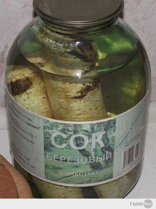 Сок березовый с мякотью.jpg (2157 просмотров) <a class='original' href='./download/file.php?id=25382&mode=view' target=_blank>Загрузить оригинал (48.27 КБ)</a>