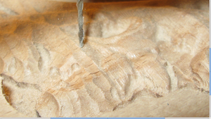 фреза 1,5мм сферическая (8925 просмотров) <a class='original' href='./download/file.php?id=25387&mode=view' target=_blank>Загрузить оригинал (2.39 МБ)</a>