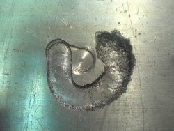 DSC06521_resize.JPG (11341 просмотр) <a class='original' href='./download/file.php?id=2643&mode=view' target=_blank>Загрузить оригинал (186.71 КБ)</a>