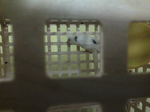 IMG_20140406_013607.jpg (2729 просмотров) <a class='original' href='./download/file.php?id=26677&mode=view' target=_blank>Загрузить оригинал (195.77 КБ)</a>