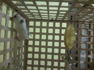 IMG_20140406_013623.jpg (2729 просмотров) <a class='original' href='./download/file.php?id=26678&mode=view' target=_blank>Загрузить оригинал (233.34 КБ)</a>