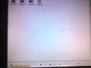 20140406-012.jpeg (5897 просмотров) <a class='original' href='./download/file.php?id=26690&mode=view' target=_blank>Загрузить оригинал (442.42 КБ)</a>