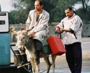 13988.jpg (2743 просмотра) <a class='original' href='./download/file.php?id=26698&mode=view' target=_blank>Загрузить оригинал (67.39 КБ)</a>