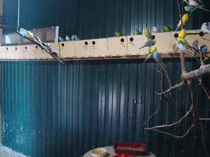 DSC04061.JPG (2780 просмотров) <a class='original' href='./download/file.php?id=26892&mode=view' target=_blank>Загрузить оригинал (128.58 КБ)</a>