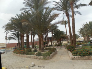 DSCN0630.JPG (2622 просмотра) <a class='original' href='./download/file.php?id=27576&mode=view' target=_blank>Загрузить оригинал (3.53 МБ)</a>