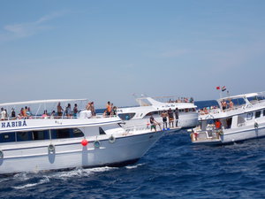 Морская прогулка, поездка в дом дельфинов, классная экскурсия. (2622 просмотра) <a class='original' href='./download/file.php?id=27580&mode=view' target=_blank>Загрузить оригинал (3.67 МБ)</a>