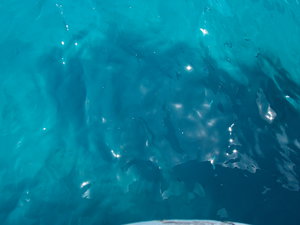 DSCN0843.JPG (2622 просмотра) <a class='original' href='./download/file.php?id=27584&mode=view' target=_blank>Загрузить оригинал (3.43 МБ)</a>