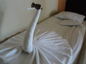 В другой день обнаружили в кровати это (2622 просмотра) <a class='original' href='./download/file.php?id=27585&mode=view' target=_blank>Загрузить оригинал (3.39 МБ)</a>