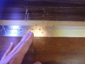 P1030201.JPG (126494 просмотра) <a class='original' href='./download/file.php?id=28156&mode=view' target=_blank>Загрузить оригинал (2.12 МБ)</a>