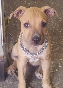 20130829_1115451.jpg (1952 просмотра) <a class='original' href='./download/file.php?id=29702&mode=view' target=_blank>Загрузить оригинал (55.63 КБ)</a>