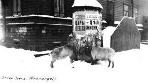 d6a33af6.jpg (1808 просмотров) <a class='original' href='./download/file.php?id=29744&mode=view' target=_blank>Загрузить оригинал (44.18 КБ)</a>