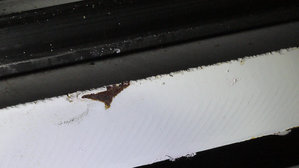 P1030439_1.JPG (3795 просмотров) <a class='original' href='./download/file.php?id=30459&mode=view' target=_blank>Загрузить оригинал (298.4 КБ)</a>