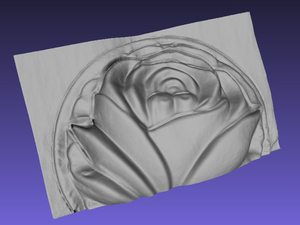 The reconstructed shape of the flower glass. (9350 просмотров) <a class='original' href='./download/file.php?id=31064&mode=view' target=_blank>Загрузить оригинал (206.63 КБ)</a>