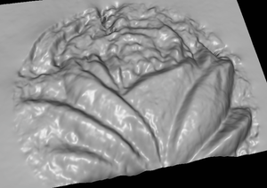 The reconstructed shape. (9350 просмотров) <a class='original' href='./download/file.php?id=31066&mode=view' target=_blank>Загрузить оригинал (260.34 КБ)</a>