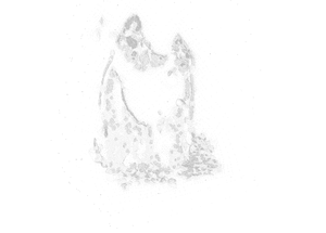 отрендеренные кошечки 2 OBJ.png (10926 просмотров) <a class='original' href='./download/file.php?id=3110&mode=view' target=_blank>Загрузить оригинал (64.93 КБ)</a>