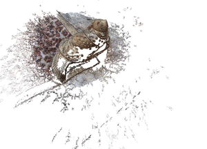 котэ06.png (10925 просмотров) <a class='original' href='./download/file.php?id=3120&mode=view' target=_blank>Загрузить оригинал (694.24 КБ)</a>