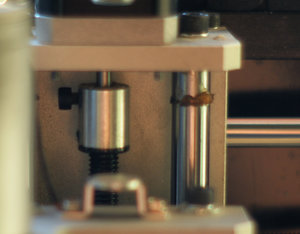 DSC03519.jpg (3202 просмотра) <a class='original' href='./download/file.php?id=31736&mode=view' target=_blank>Загрузить оригинал (598.13 КБ)</a>