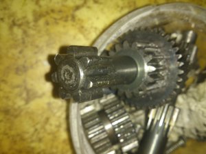 DSC_3050.jpg (3681 просмотр) <a class='original' href='./download/file.php?id=31780&mode=view' target=_blank>Загрузить оригинал (2.45 МБ)</a>