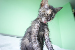 DSC06453.jpg (4916 просмотров) <a class='original' href='./download/file.php?id=31827&mode=view' target=_blank>Загрузить оригинал (8.74 МБ)</a>