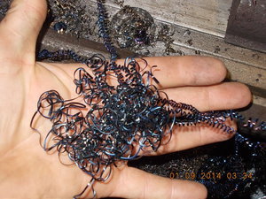 DSCN2667.JPG (4688 просмотров) <a class='original' href='./download/file.php?id=32551&mode=view' target=_blank>Загрузить оригинал (230.48 КБ)</a>