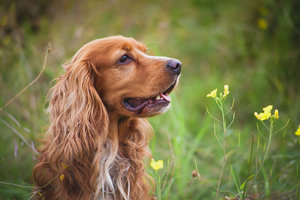 IMG_1093.jpg (7205 просмотров) <a class='original' href='./download/file.php?id=32676&mode=view' target=_blank>Загрузить оригинал (287.53 КБ)</a>