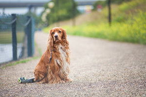 IMG_1071.jpg (7205 просмотров) <a class='original' href='./download/file.php?id=32677&mode=view' target=_blank>Загрузить оригинал (332.63 КБ)</a>