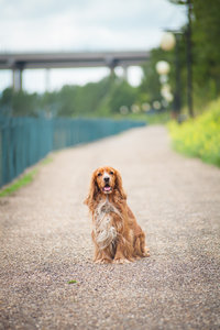 IMG_1100web.jpg (7205 просмотров) <a class='original' href='./download/file.php?id=32679&mode=view' target=_blank>Загрузить оригинал (295.3 КБ)</a>