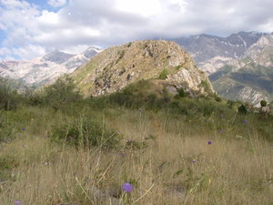 С Лугавчанского фотика 029.jpg (5155 просмотров) <a class='original' href='./download/file.php?id=3275&mode=view' target=_blank>Загрузить оригинал (463.25 КБ)</a>