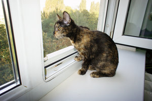 DSC07035.jpg (4818 просмотров) <a class='original' href='./download/file.php?id=33010&mode=view' target=_blank>Загрузить оригинал (704.79 КБ)</a>