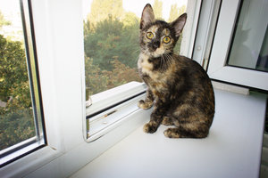 DSC07036.jpg (4818 просмотров) <a class='original' href='./download/file.php?id=33011&mode=view' target=_blank>Загрузить оригинал (709.56 КБ)</a>