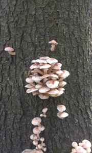 IMAG0771.jpg (2063 просмотра) <a class='original' href='./download/file.php?id=33230&mode=view' target=_blank>Загрузить оригинал (1.01 МБ)</a>