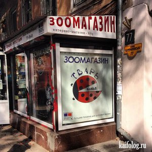 3928641.jpg (1979 просмотров) <a class='original' href='./download/file.php?id=33328&mode=view' target=_blank>Загрузить оригинал (68.8 КБ)</a>