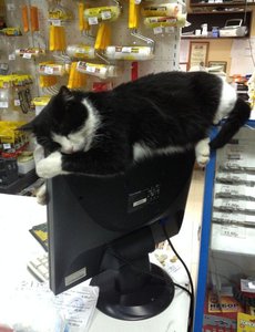 17_1.jpg (2350 просмотров) <a class='original' href='./download/file.php?id=33411&mode=view' target=_blank>Загрузить оригинал (74.36 КБ)</a>