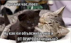 rYh849H_3wE.jpg (1414 просмотров) <a class='original' href='./download/file.php?id=33754&mode=view' target=_blank>Загрузить оригинал (39.98 КБ)</a>