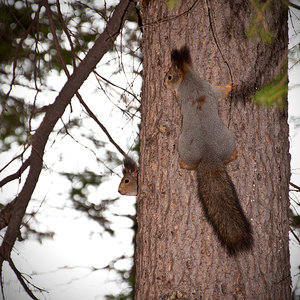 DSC_0027.jpg (4019 просмотров) <a class='original' href='./download/file.php?id=33915&mode=view' target=_blank>Загрузить оригинал (2.26 МБ)</a>