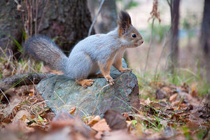 DSC_0131.jpg (4019 просмотров) <a class='original' href='./download/file.php?id=33916&mode=view' target=_blank>Загрузить оригинал (3.55 МБ)</a>