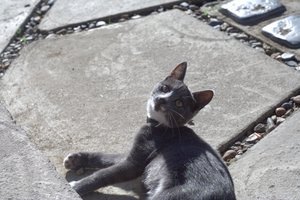 IMG_0378.jpg (3968 просмотров) <a class='original' href='./download/file.php?id=33931&mode=view' target=_blank>Загрузить оригинал (552.44 КБ)</a>