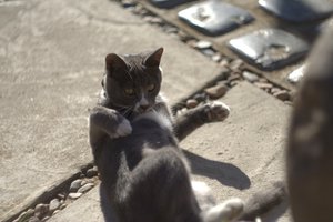 IMG_0371.jpg (3968 просмотров) <a class='original' href='./download/file.php?id=33932&mode=view' target=_blank>Загрузить оригинал (446.83 КБ)</a>