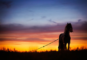 11822607715_d0c439b143_o.jpg (3933 просмотра) <a class='original' href='./download/file.php?id=34187&mode=view' target=_blank>Загрузить оригинал (105.62 КБ)</a>