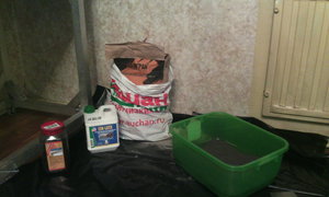 IMAGE00000.jpg (7163 просмотра) <a class='original' href='./download/file.php?id=34190&mode=view' target=_blank>Загрузить оригинал (4.32 МБ)</a>