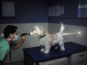 image.jpg (2870 просмотров) <a class='original' href='./download/file.php?id=34656&mode=view' target=_blank>Загрузить оригинал (50.97 КБ)</a>