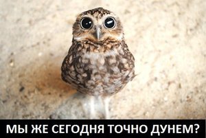 d1-J8AbGv3M.jpg (1836 просмотров) <a class='original' href='./download/file.php?id=35148&mode=view' target=_blank>Загрузить оригинал (38.52 КБ)</a>