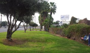 20141018_160603.jpg (2667 просмотров) <a class='original' href='./download/file.php?id=35212&mode=view' target=_blank>Загрузить оригинал (135.42 КБ)</a>