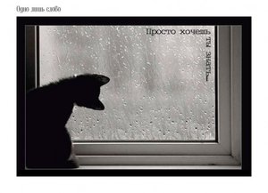 364123_29a419ea.jpg (2693 просмотра) <a class='original' href='./download/file.php?id=35255&mode=view' target=_blank>Загрузить оригинал (31.68 КБ)</a>