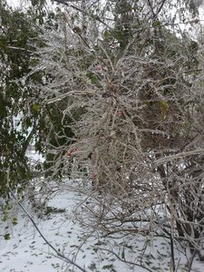 в гостях у снежной королевы1.jpg (2180 просмотров) <a class='original' href='./download/file.php?id=35284&mode=view' target=_blank>Загрузить оригинал (1.33 МБ)</a>