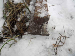 SAM_0450.JPG (2401 просмотр) <a class='original' href='./download/file.php?id=36270&mode=view' target=_blank>Загрузить оригинал (2.75 МБ)</a>