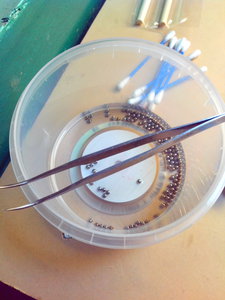 2014-11-27 11.51.55.jpg (11260 просмотров) <a class='original' href='./download/file.php?id=37276&mode=view' target=_blank>Загрузить оригинал (627.18 КБ)</a>