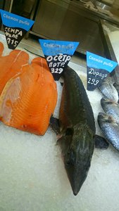 DSC_1090~2.jpg (2066 просмотров) <a class='original' href='./download/file.php?id=37376&mode=view' target=_blank>Загрузить оригинал (1.29 МБ)</a>