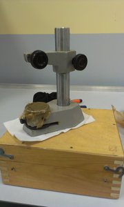 Нульц! Муха еще не, это самое... (2445 просмотров) <a class='original' href='./download/file.php?id=37517&mode=view' target=_blank>Загрузить оригинал (520.92 КБ)</a>